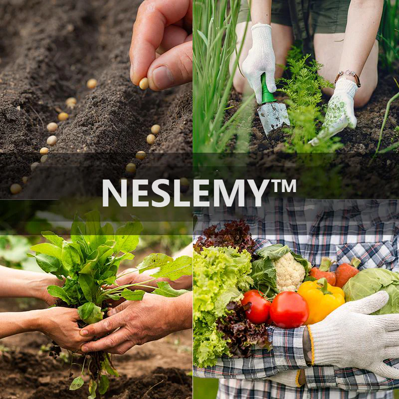 Vollständige Erbstück-Gemüsesamen-Tresor – Ideal für Hausgärten & Notfallvorbereitung - Image 4